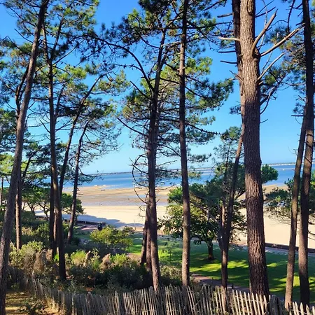 Cala - Coeur D'arcachon&plages à Pied !
